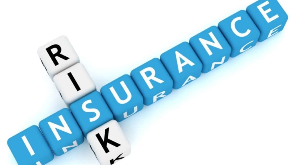 Insurance and Risk Management in Secure Logistics